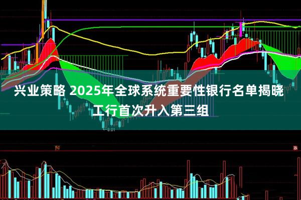 兴业策略 2025年全球系统重要性银行名单揭晓 工行首次升入第三组