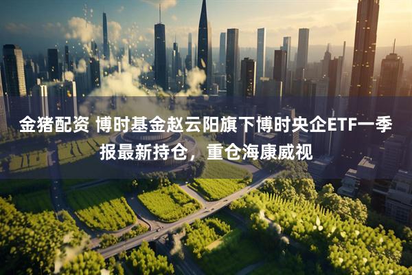 金猪配资 博时基金赵云阳旗下博时央企ETF一季报最新持仓，重仓海康威视